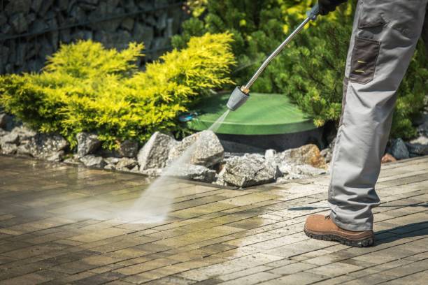 Best Pre-Holiday Cleaning  in Sauk Vlage, IL