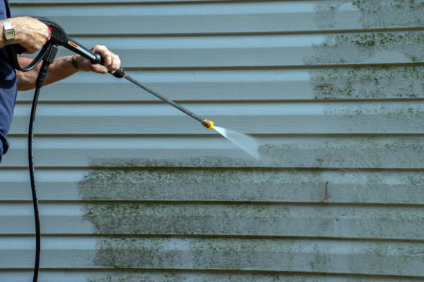 Best Sidewalk and Walkway Cleaning  in Sauk Vlage, IL